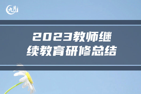 2023教师继续教育研修总结