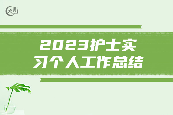 2023护士实习个人工作总结