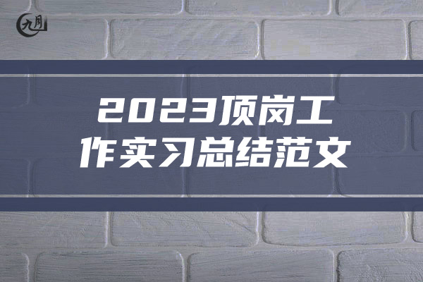 2023顶岗工作实习总结范文