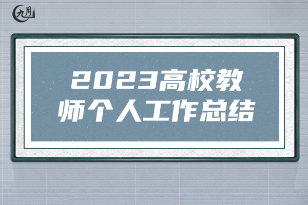 2023高校教师个人工作总结