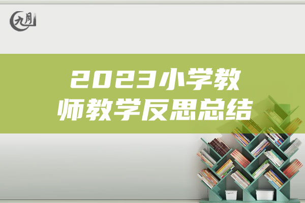 2023小学教师教学反思总结