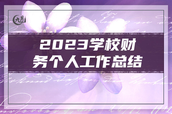 2023学校财务个人工作总结