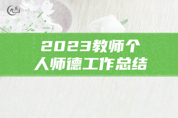 2023教师个人师德工作总结