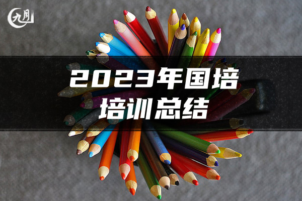 2023年国培培训总结