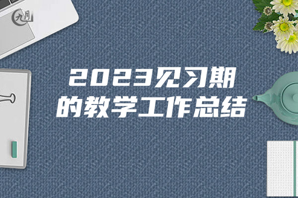 2023见习期的教学工作总结