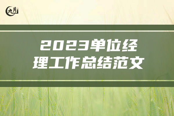 2023单位经理工作总结范文