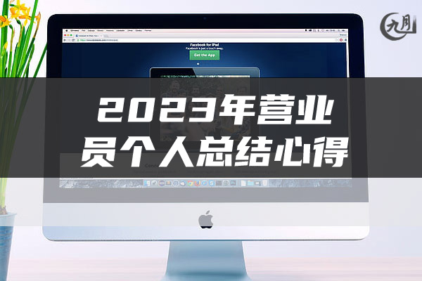 2023年营业员个人总结心得