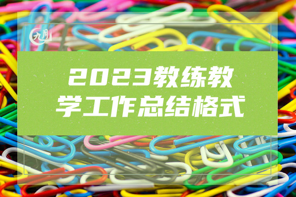 2023教练教学工作总结格式