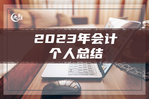 2023年会计个人总结