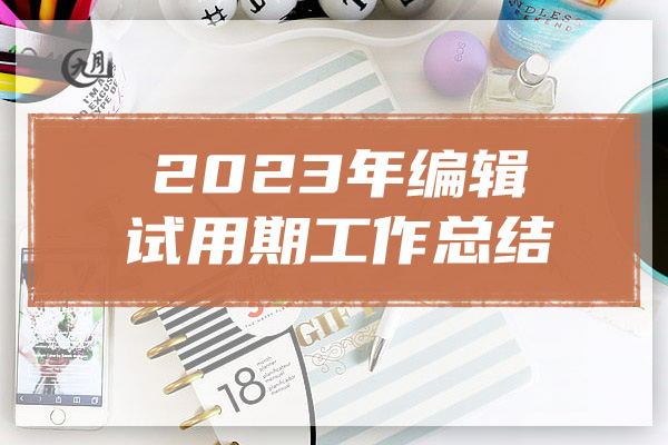 2023年编辑试用期工作总结