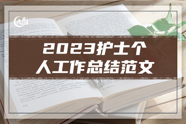 2023护士个人工作总结范文