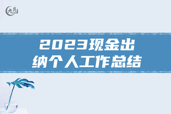 2023现金出纳个人工作总结