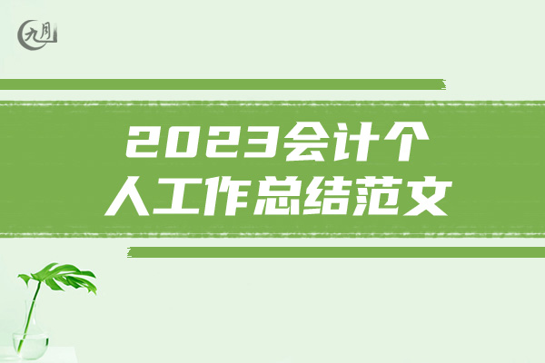 2023会计个人工作总结范文