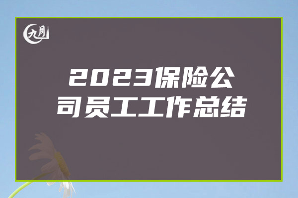 2023保险公司员工工作总结