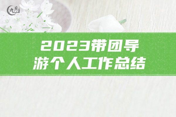 2023带团导游个人工作总结