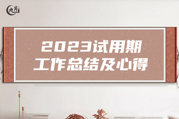 2023试用期工作总结及心得