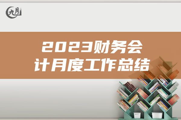 2023财务会计月度工作总结