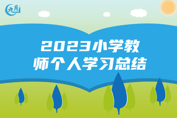 2023小学教师个人学习总结