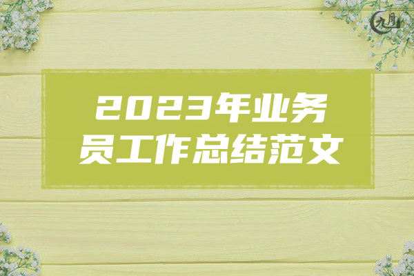 2023年业务员工作总结范文