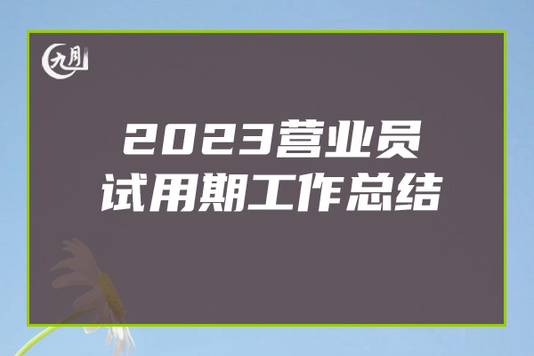 2023营业员试用期工作总结