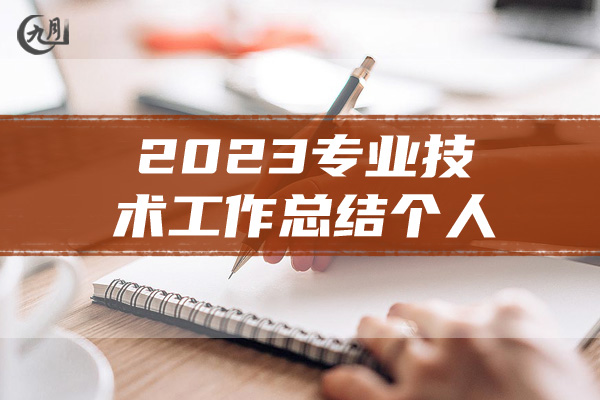 2023专业技术工作总结个人