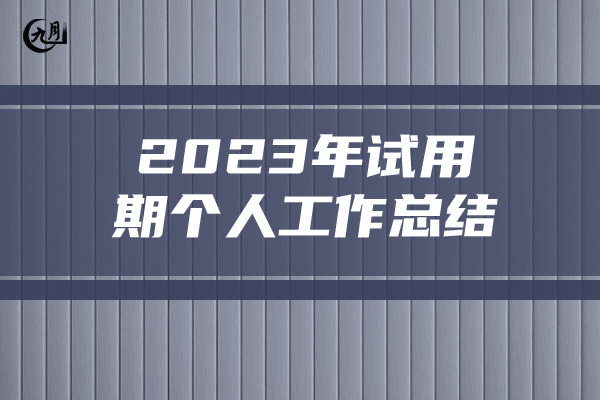 2023年试用期个人工作总结