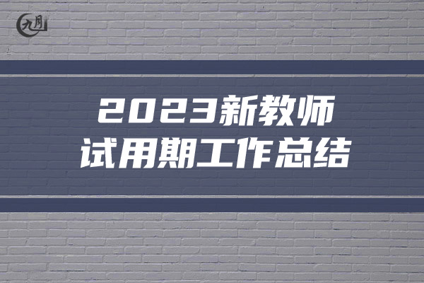 2023新教师试用期工作总结