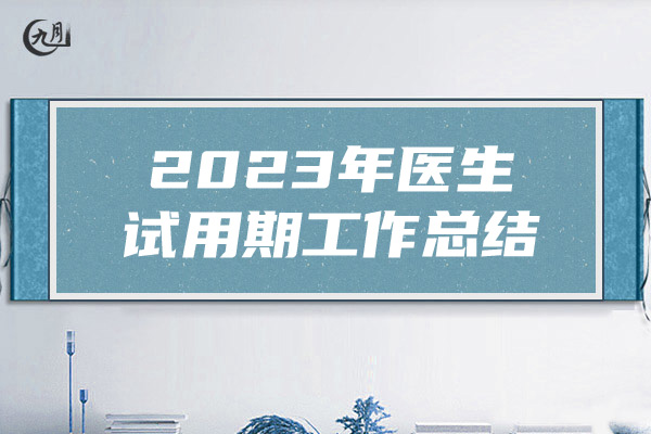 2023年医生试用期工作总结