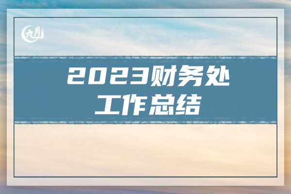 2023财务处工作总结