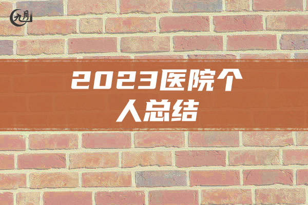 2023医院个人总结