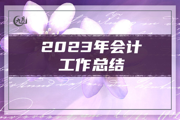 2023年会计工作总结