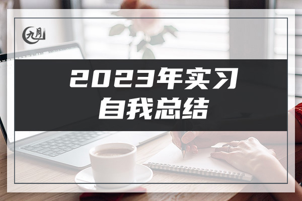 2023年实习自我总结