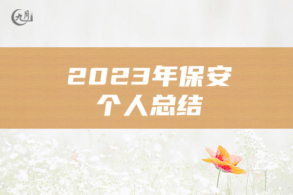 2023年保安个人总结