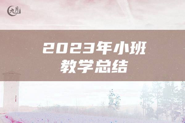 2023年小班教学总结