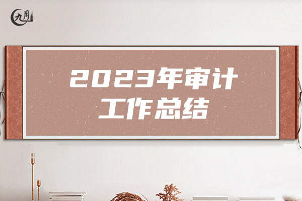 2023年审计工作总结