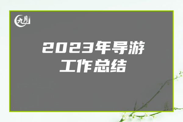 2023年导游工作总结