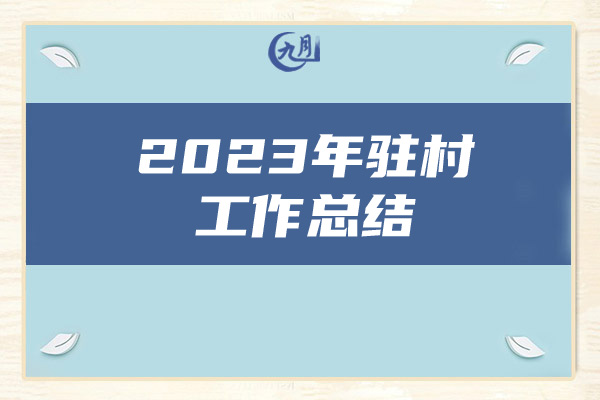 2023年驻村工作总结