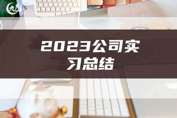 2023公司实习总结