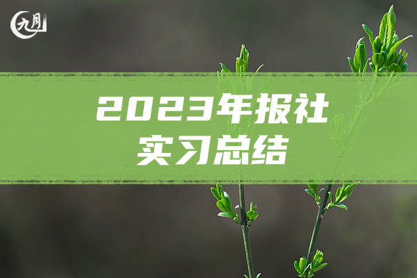 2023年报社实习总结