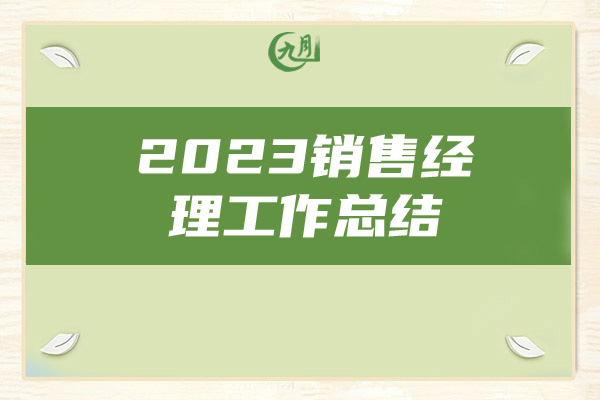 2023销售经理工作总结