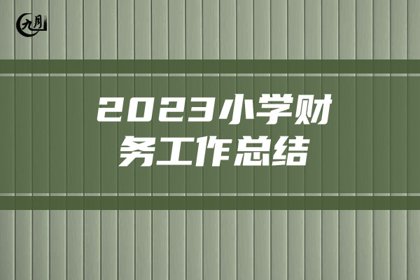 2023小学财务工作总结