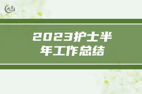 2023护士半年工作总结