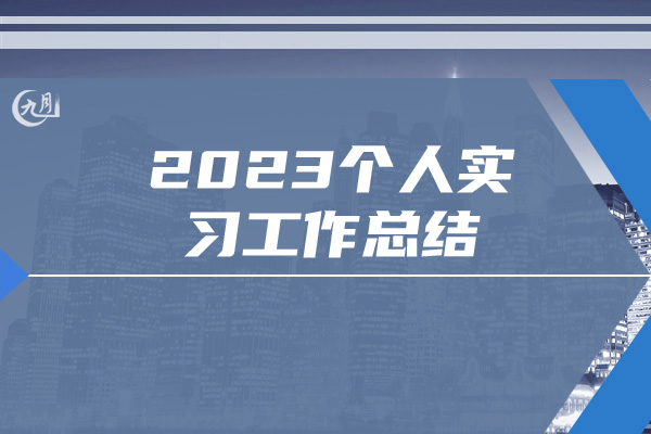 2023个人实习工作总结