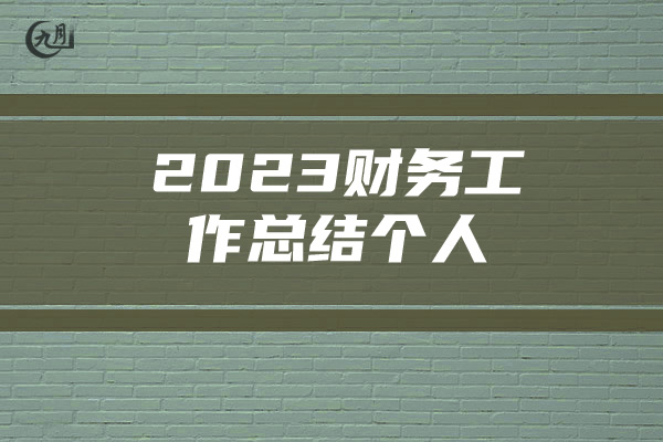 2023财务工作总结个人