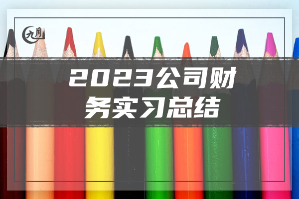 2023公司财务实习总结