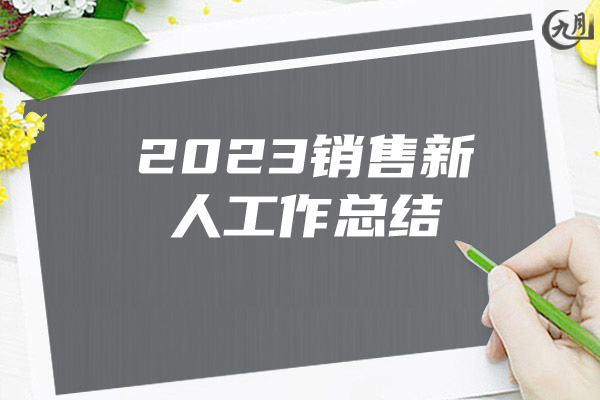 2023销售新人工作总结