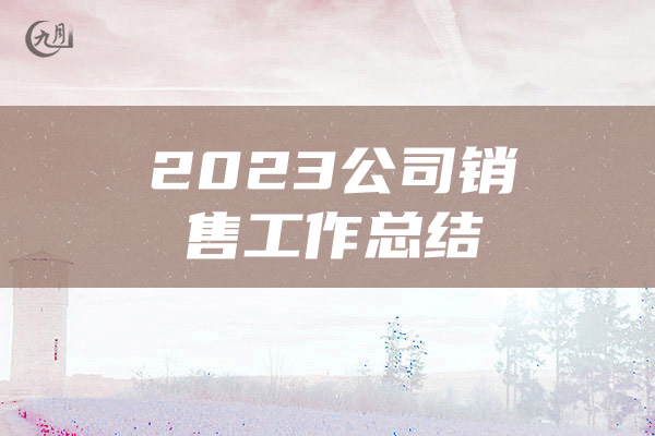 2023公司销售工作总结