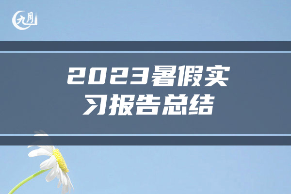 2023暑假实习报告总结