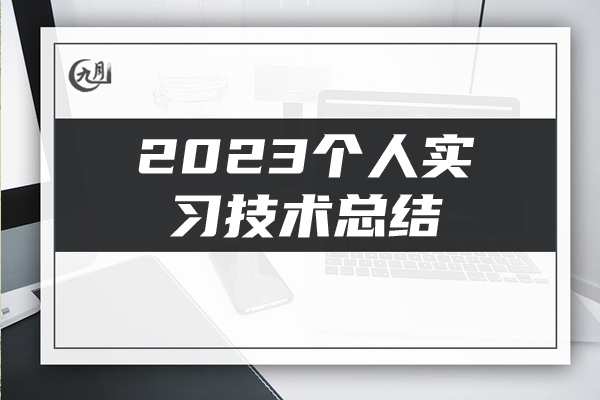 2023个人实习技术总结