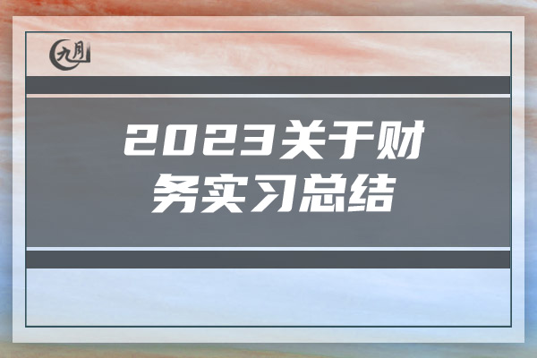 2023关于财务实习总结